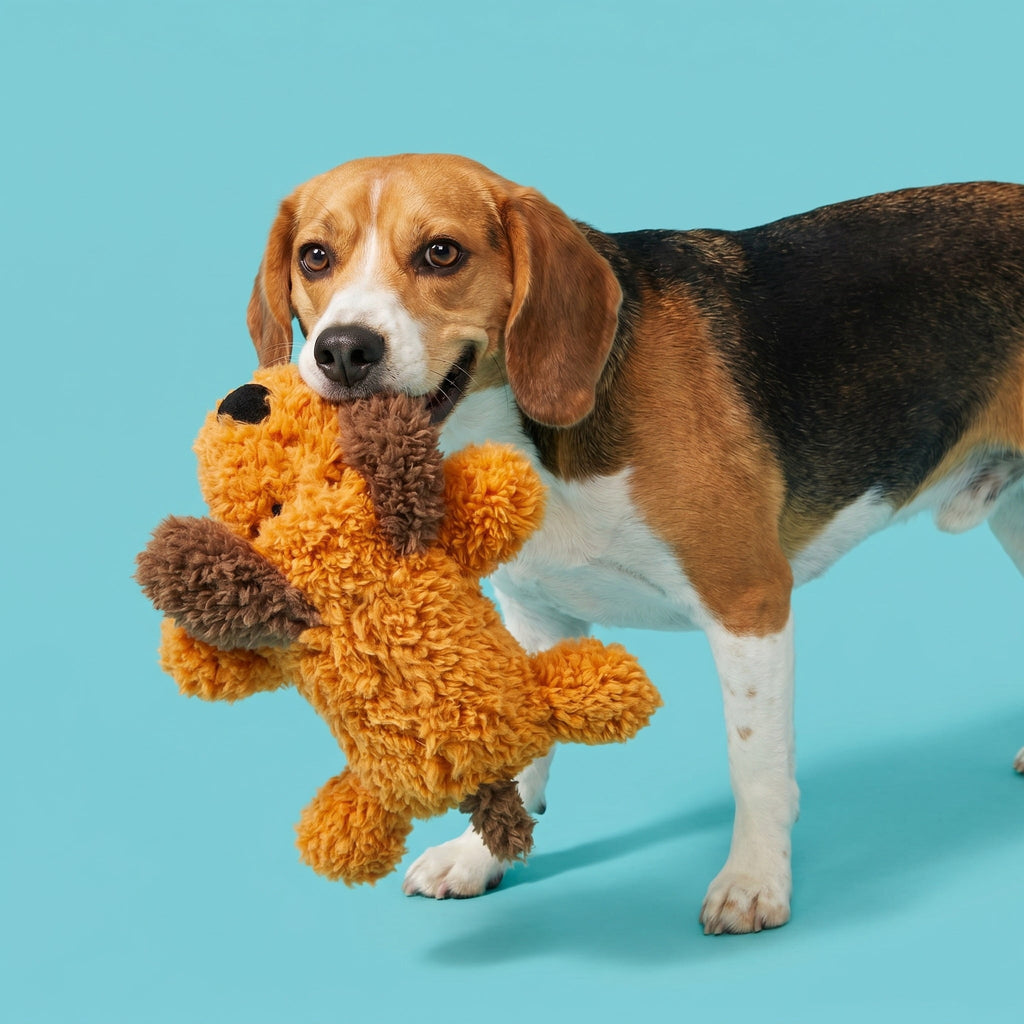 Floppy Pup Plush Squeaky Toy – image 2