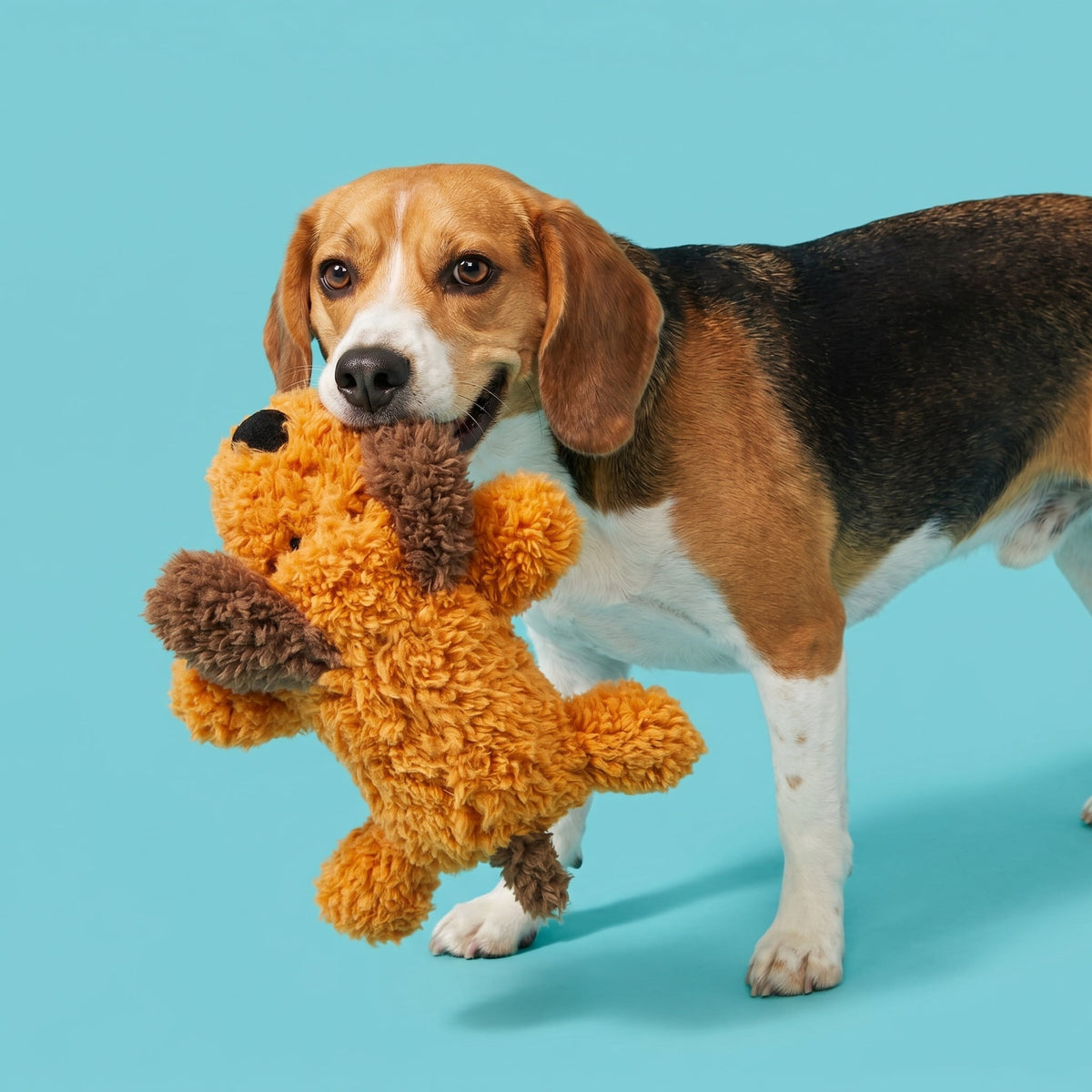 Floppy Pup Plush Squeaky Toy – image 2