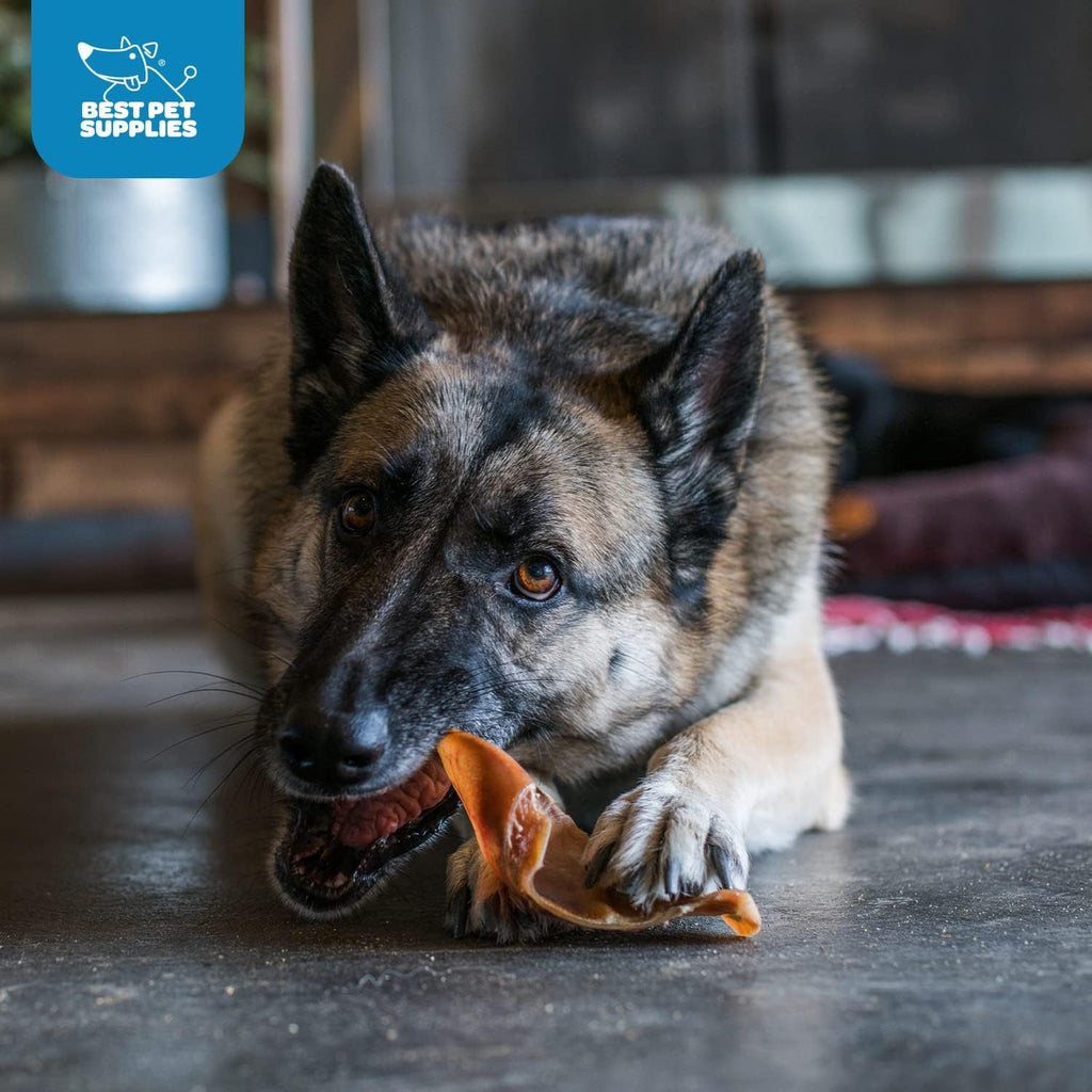 Roasted Half-Cut Pig Ears – 50 Pack – image 2