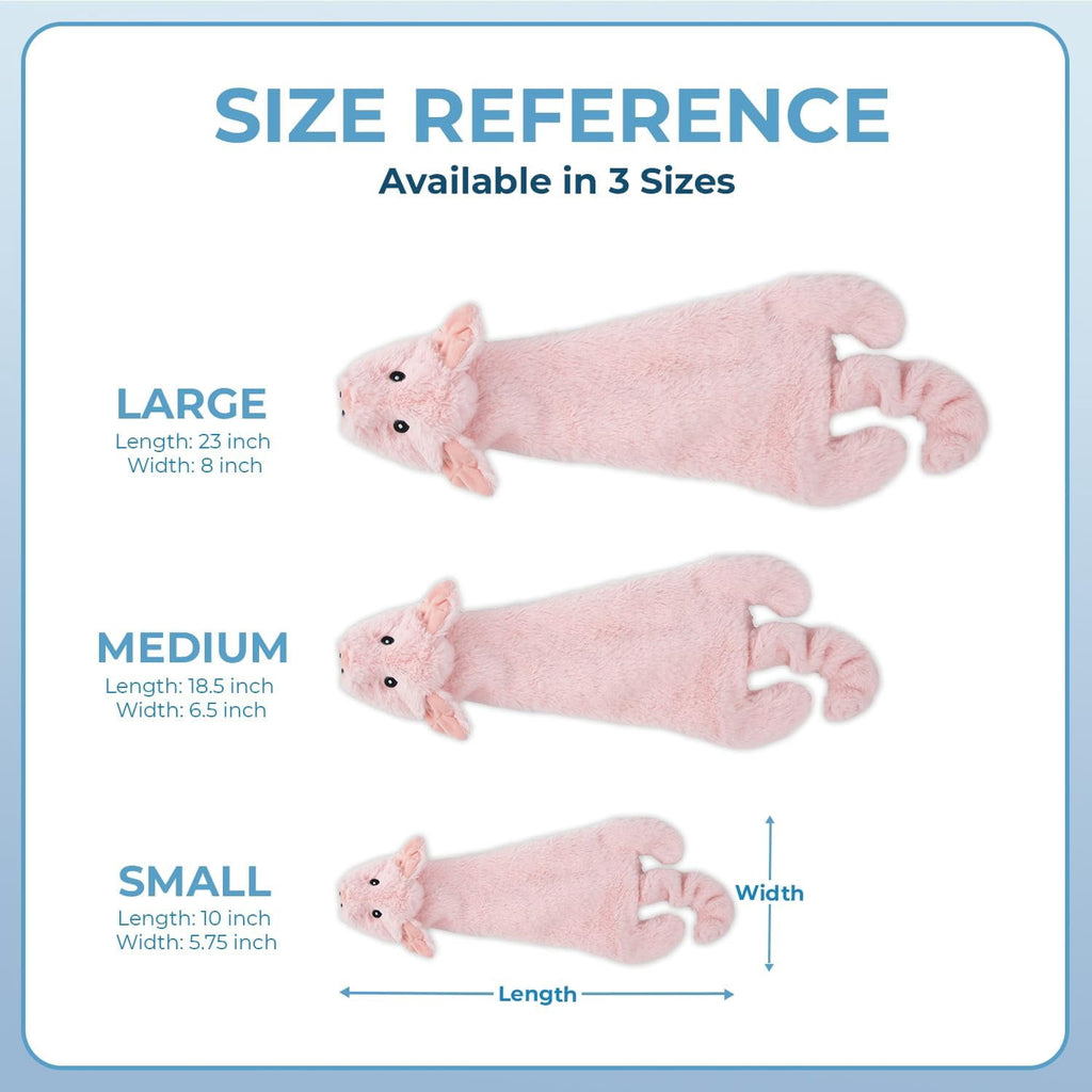 Stuffing-Free Double Squeak Dog Toy – image 5
