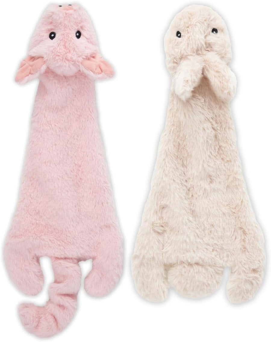 Stuffing-Free Double Squeak Dog Toy