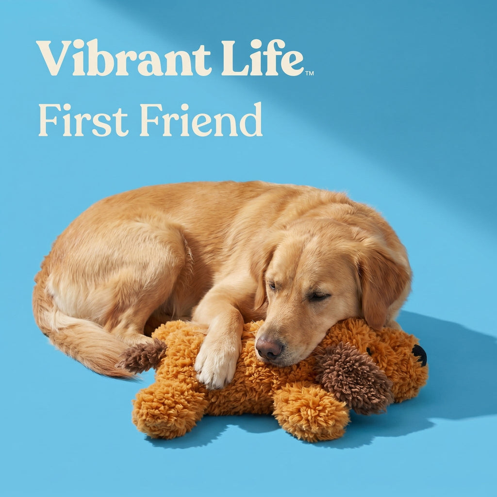 Floppy Pup Plush Squeaky Toy – image 4